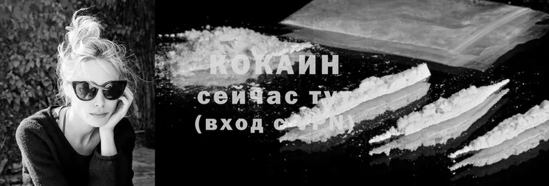 Cocaine FishScale  сайты даркнета клад  Агрыз 